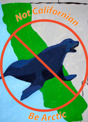 No California Seals crop