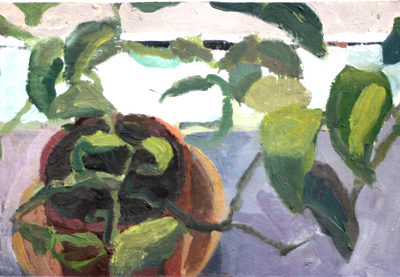 Plant